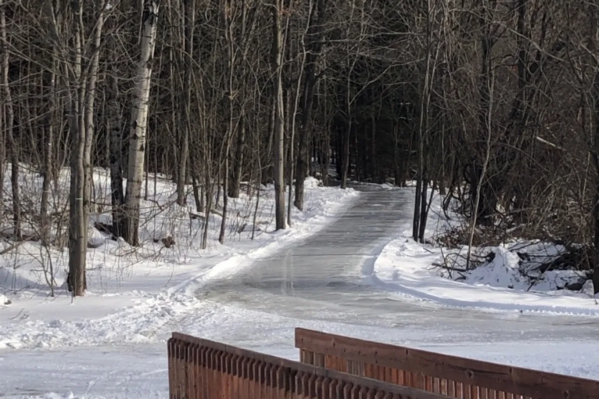 Sentier glacé