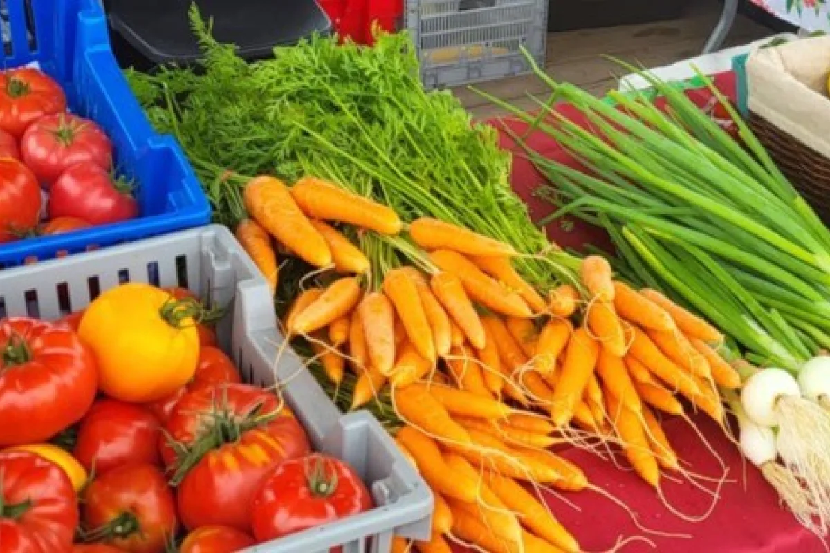 Legumes Marche Ste Cath