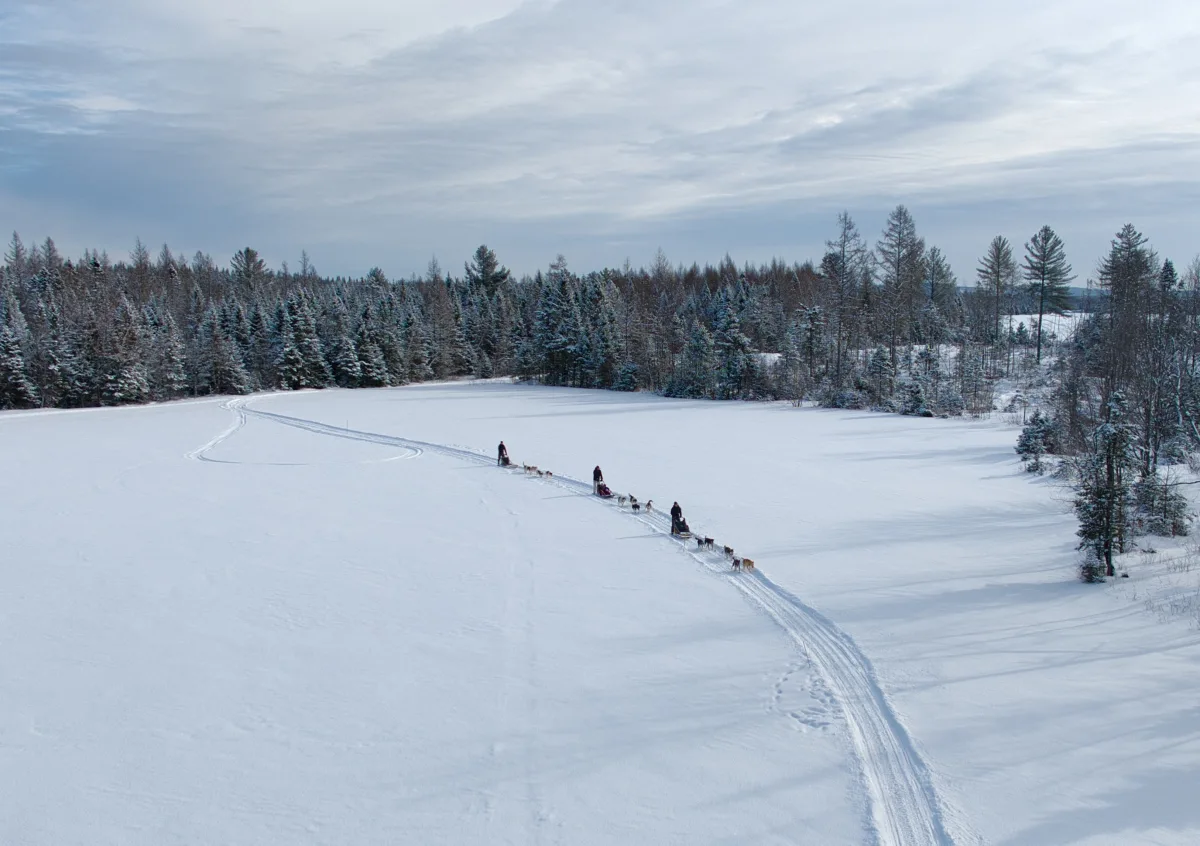 Blogue sentiers battus principale