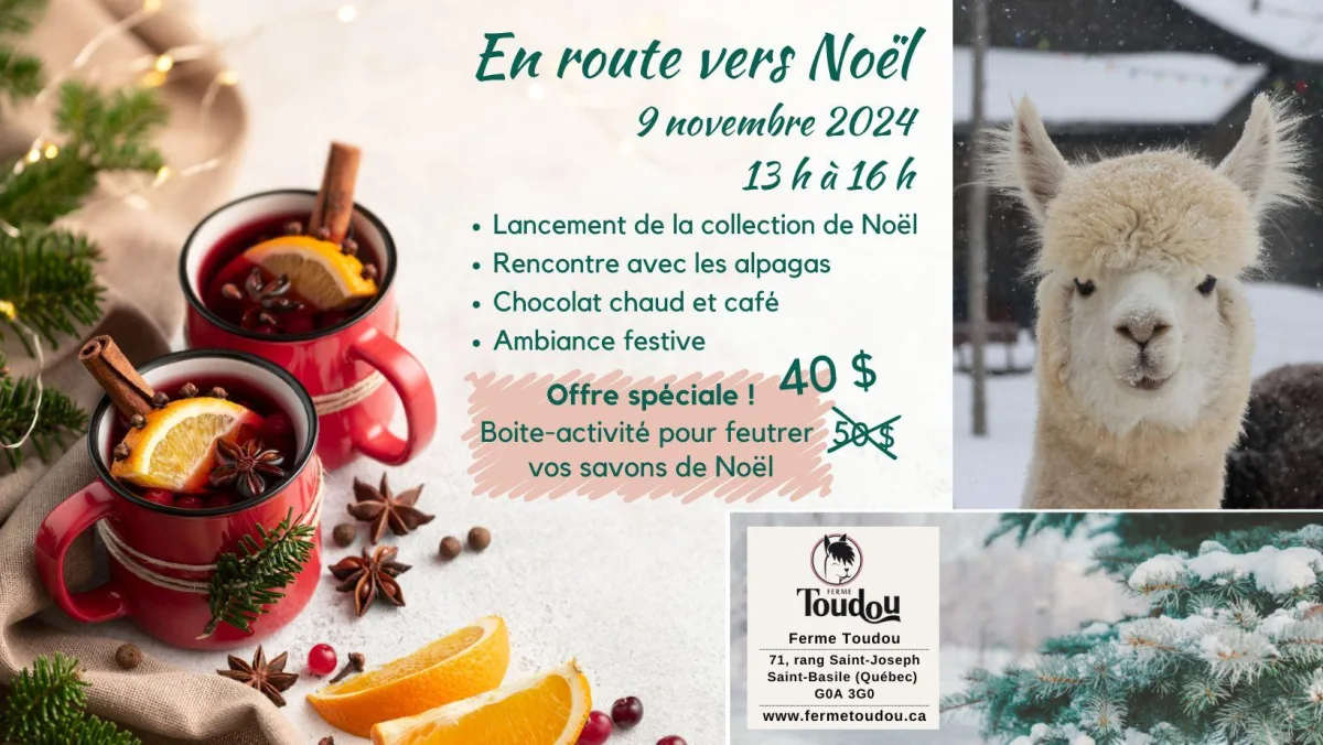 2024 10 24 Boutique Toudou Route Noel Boite