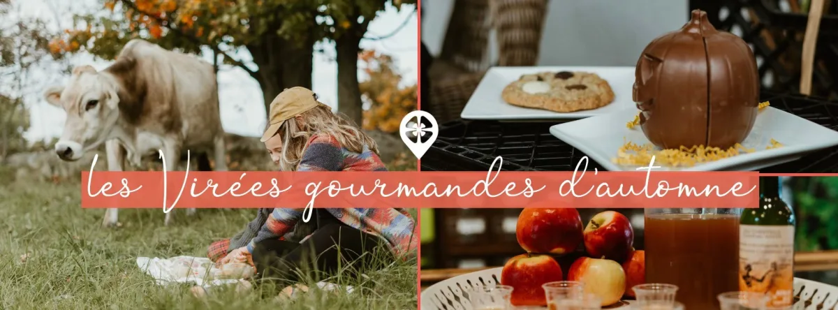 Virees gourmandes automne 2025