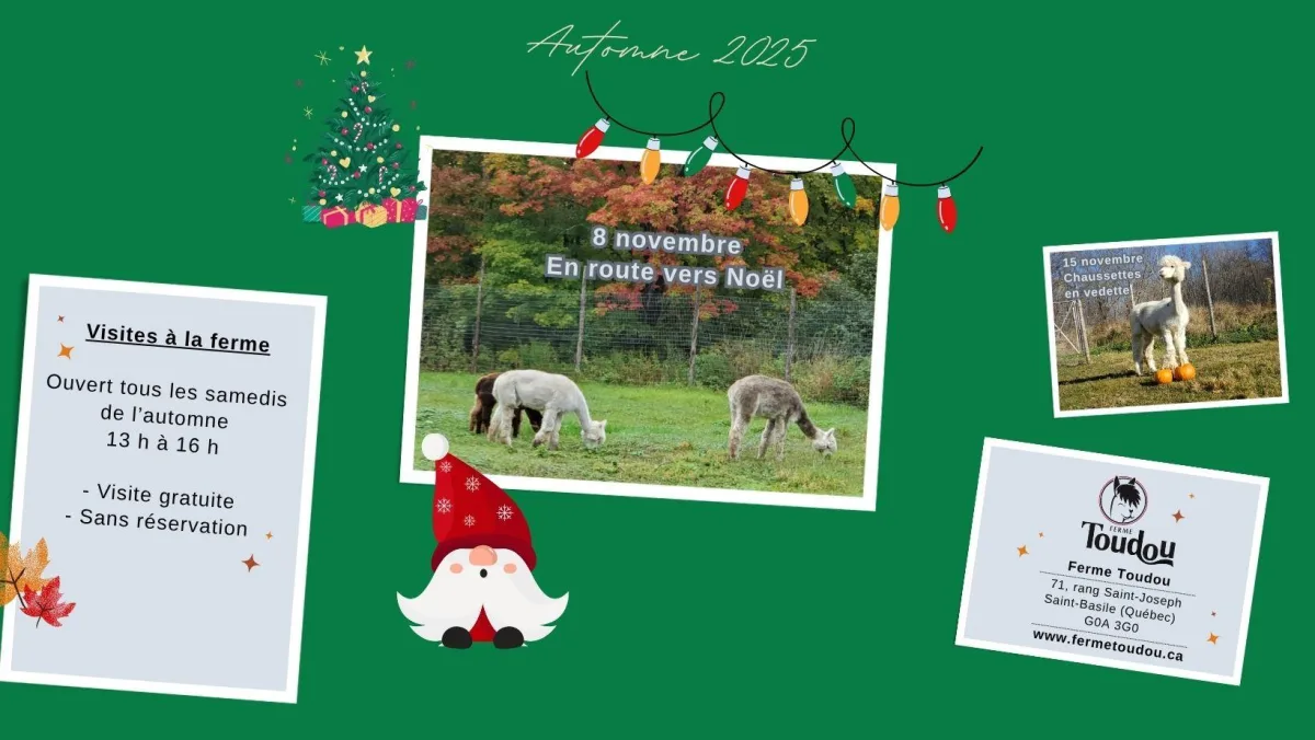 Route noel toudou 25