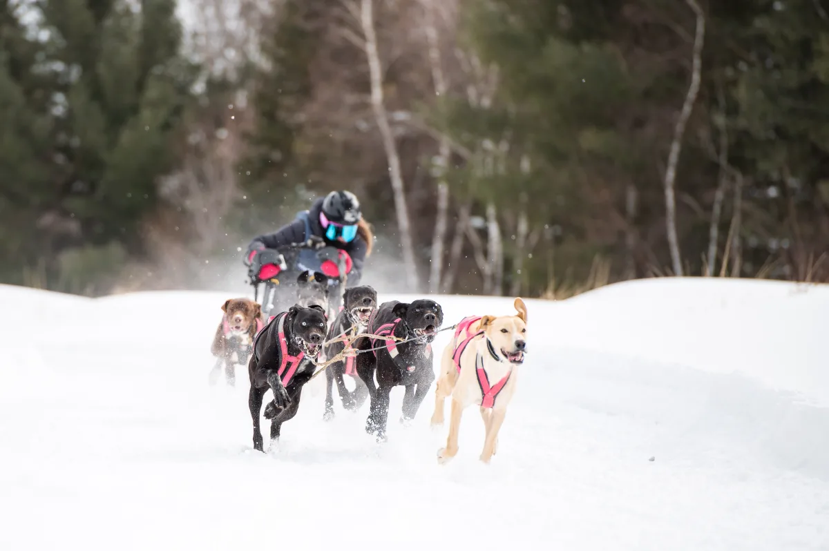 20230225 defhivponf 231