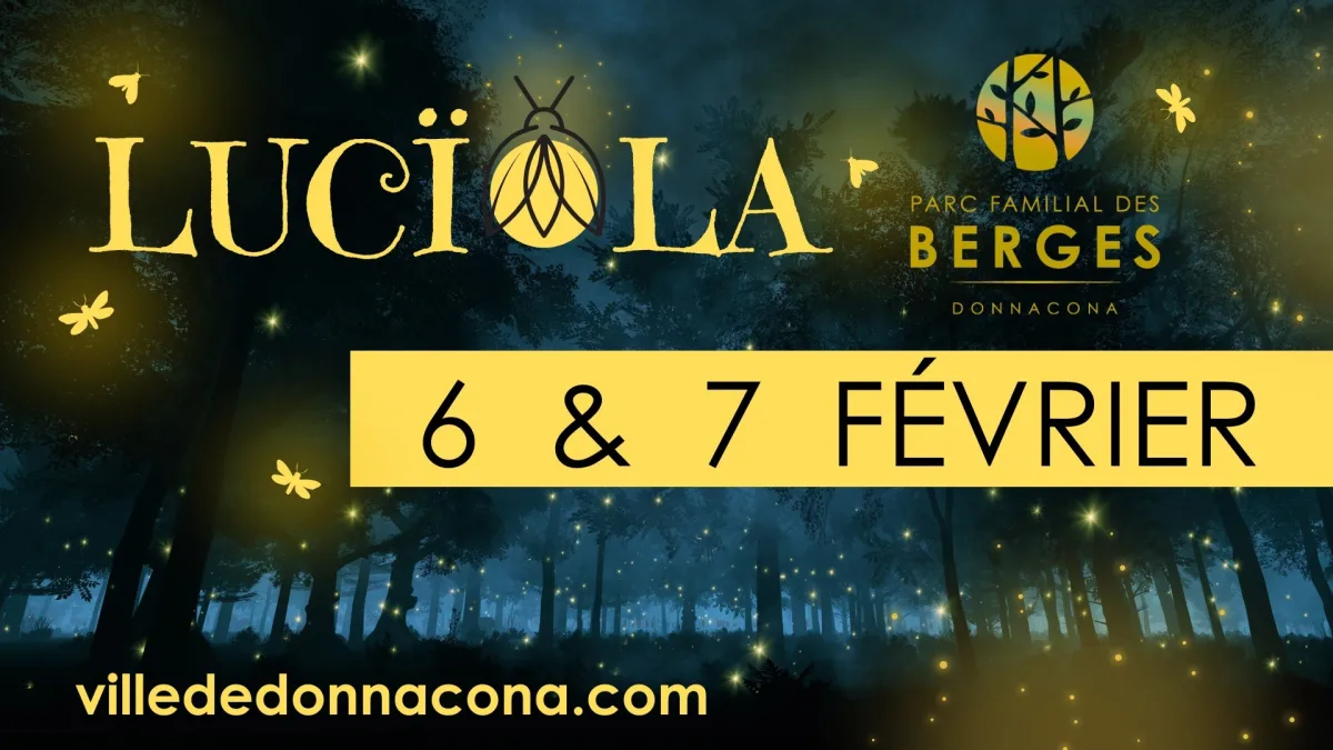 4 Luciola 26