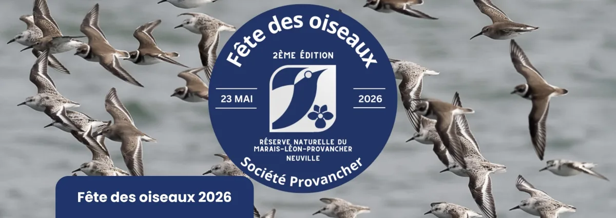 9 fete oiseaux 26