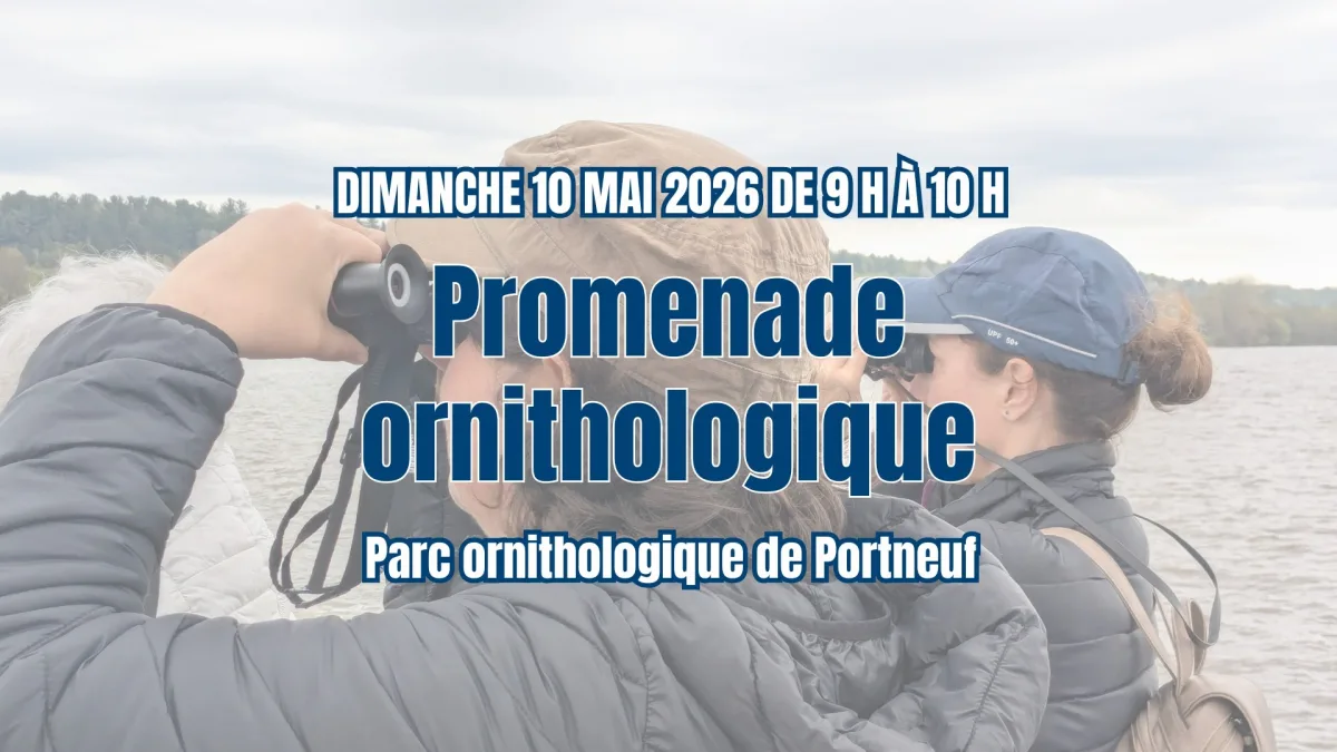 1m promenade ornito 26