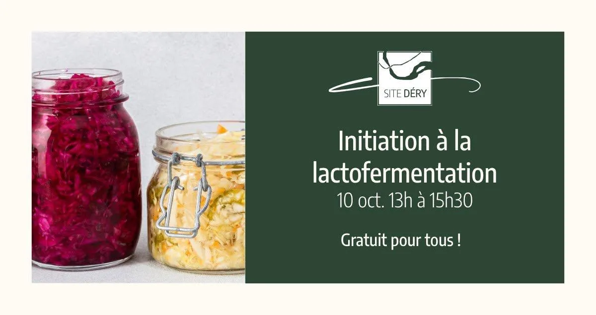 8 dery lactofermentation