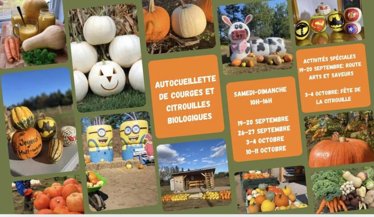Fete citrouille 2026