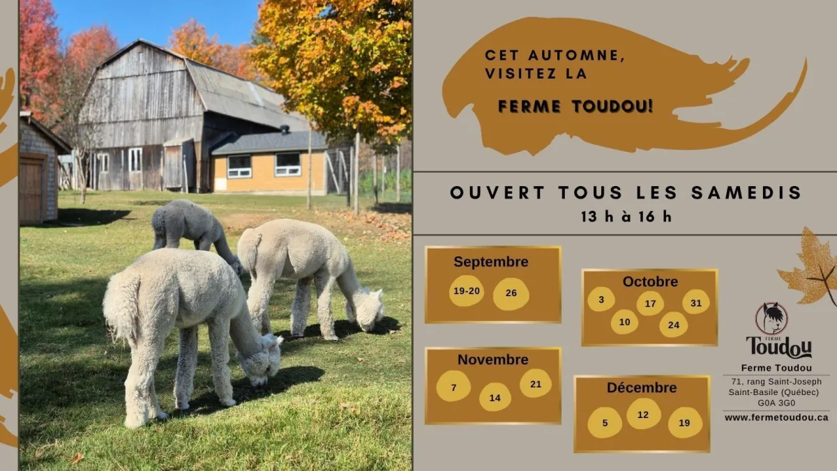 8 automne ferme toudou 26
