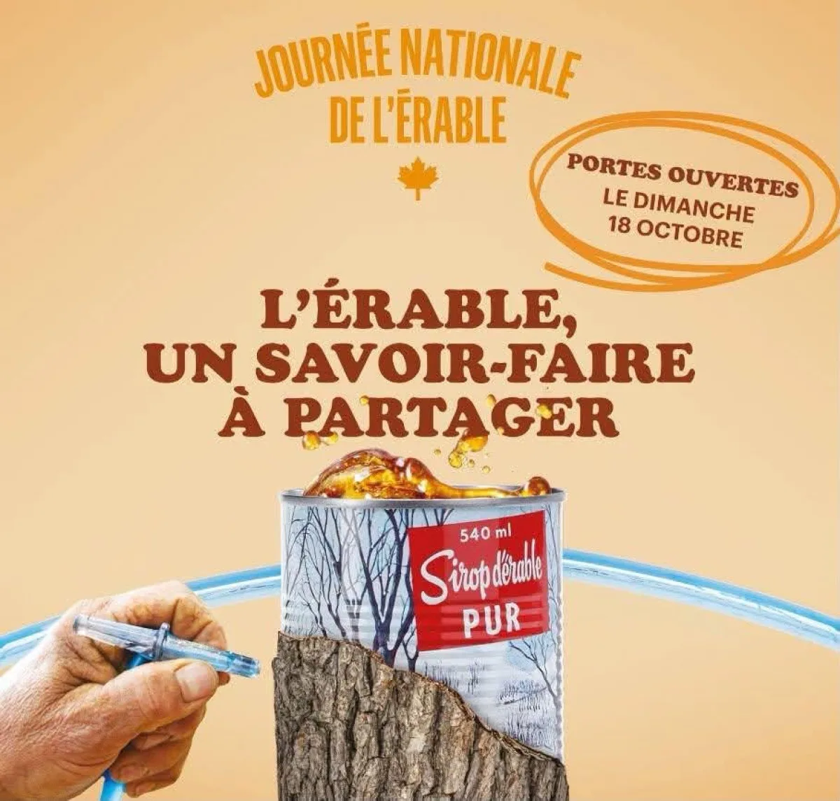 9 cabane chute a lours oct 26