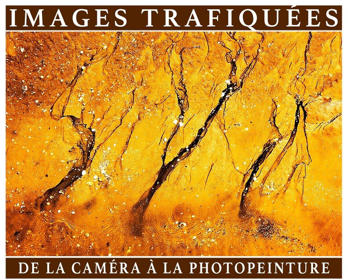 Images trafiquees 2