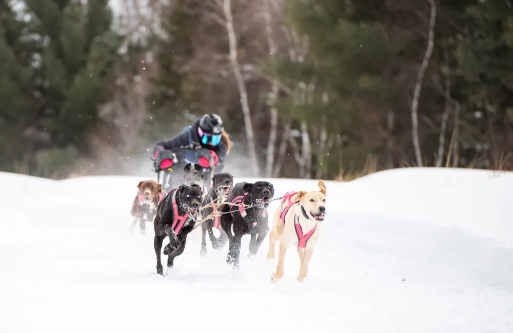 20230225 defhivponf 231