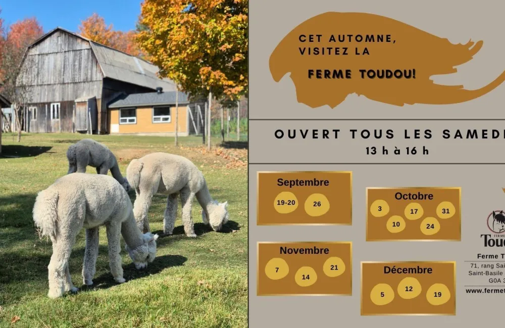 8 automne ferme toudou 26