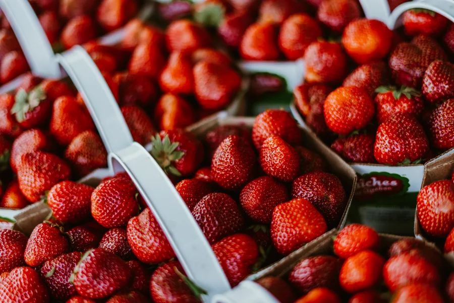 Fraisiere Faucher Credit Amy Gagnon 1