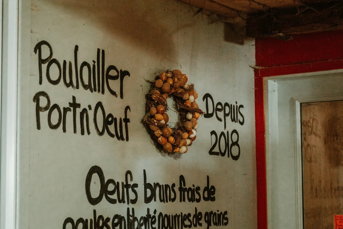 Poulailler Portn Oeuf Credit Amy Gagnon
