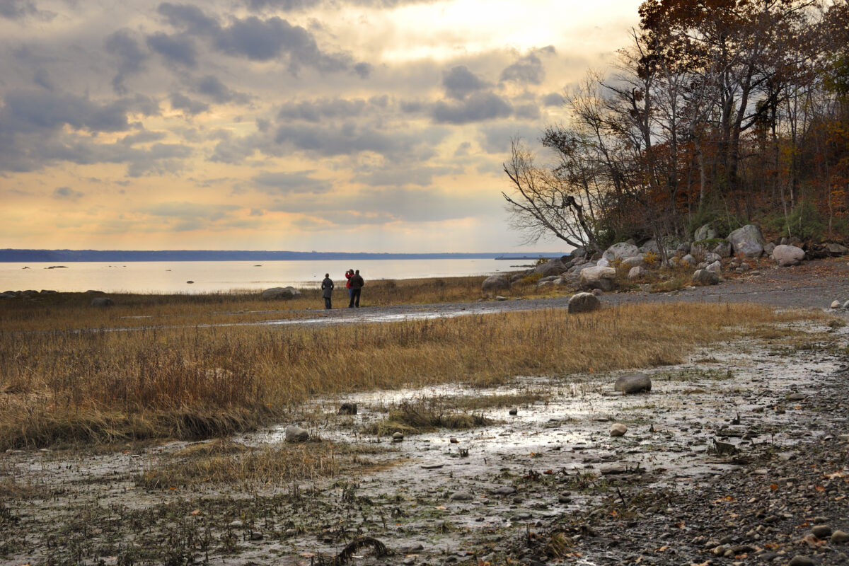 Réserve naturelle du MaraisLéonProvancher Tourisme Portneuf